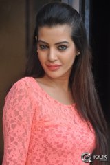 Diksha Panth at Kavvintha Movie Press Meet
